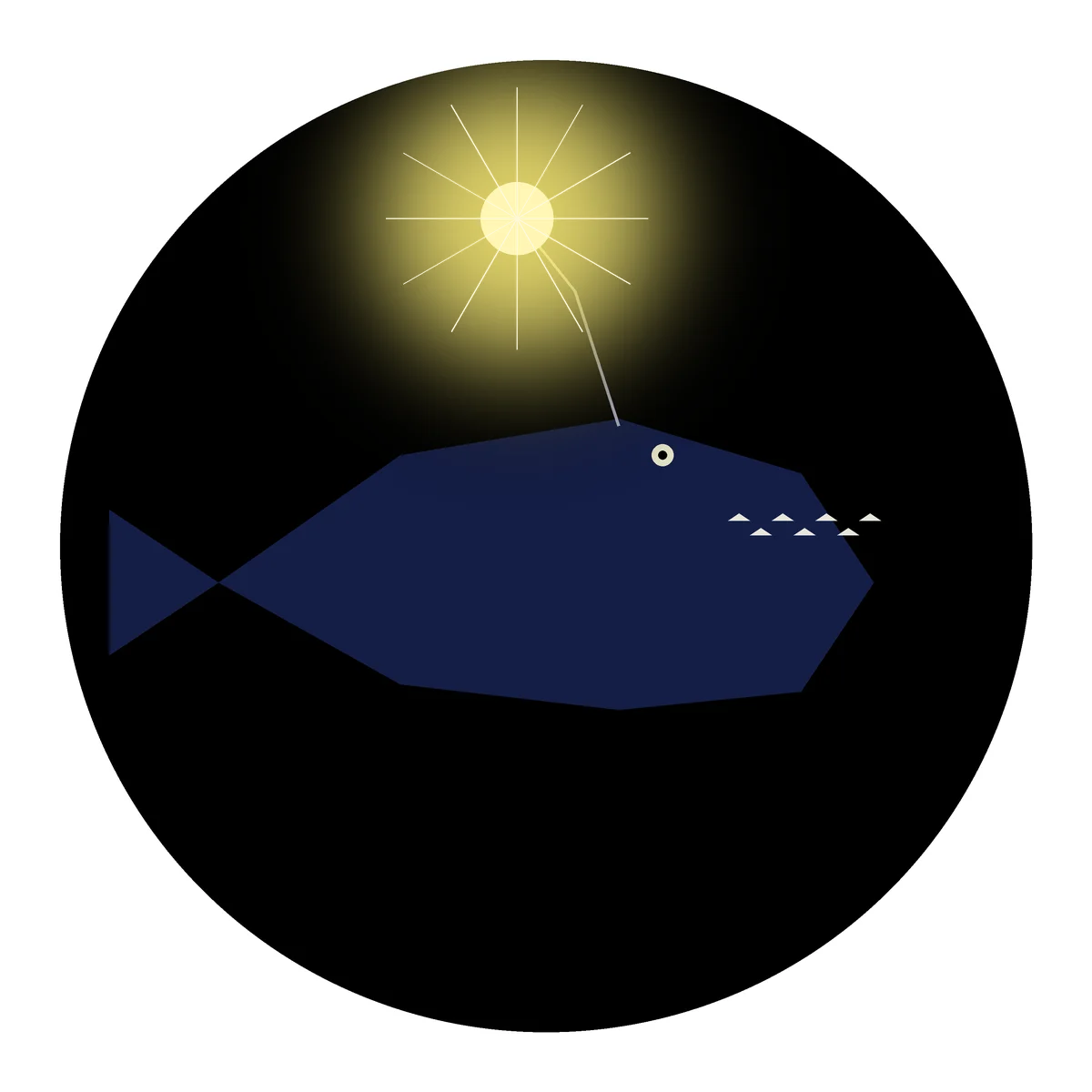 Deep-Sea Anglerfish Lantern