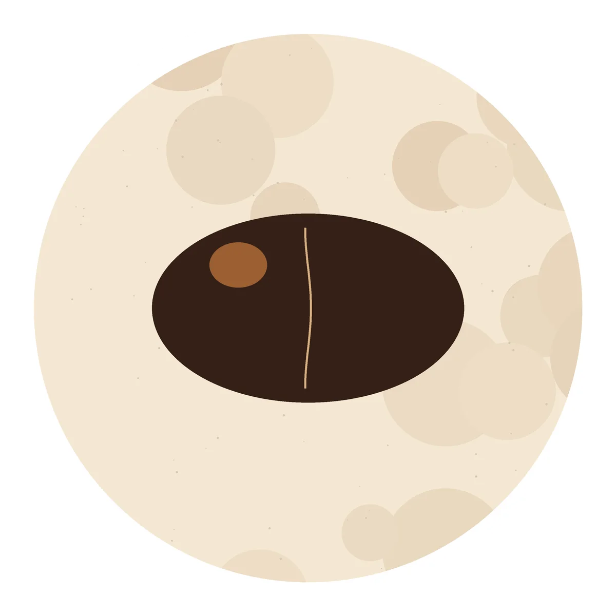 Single Bean