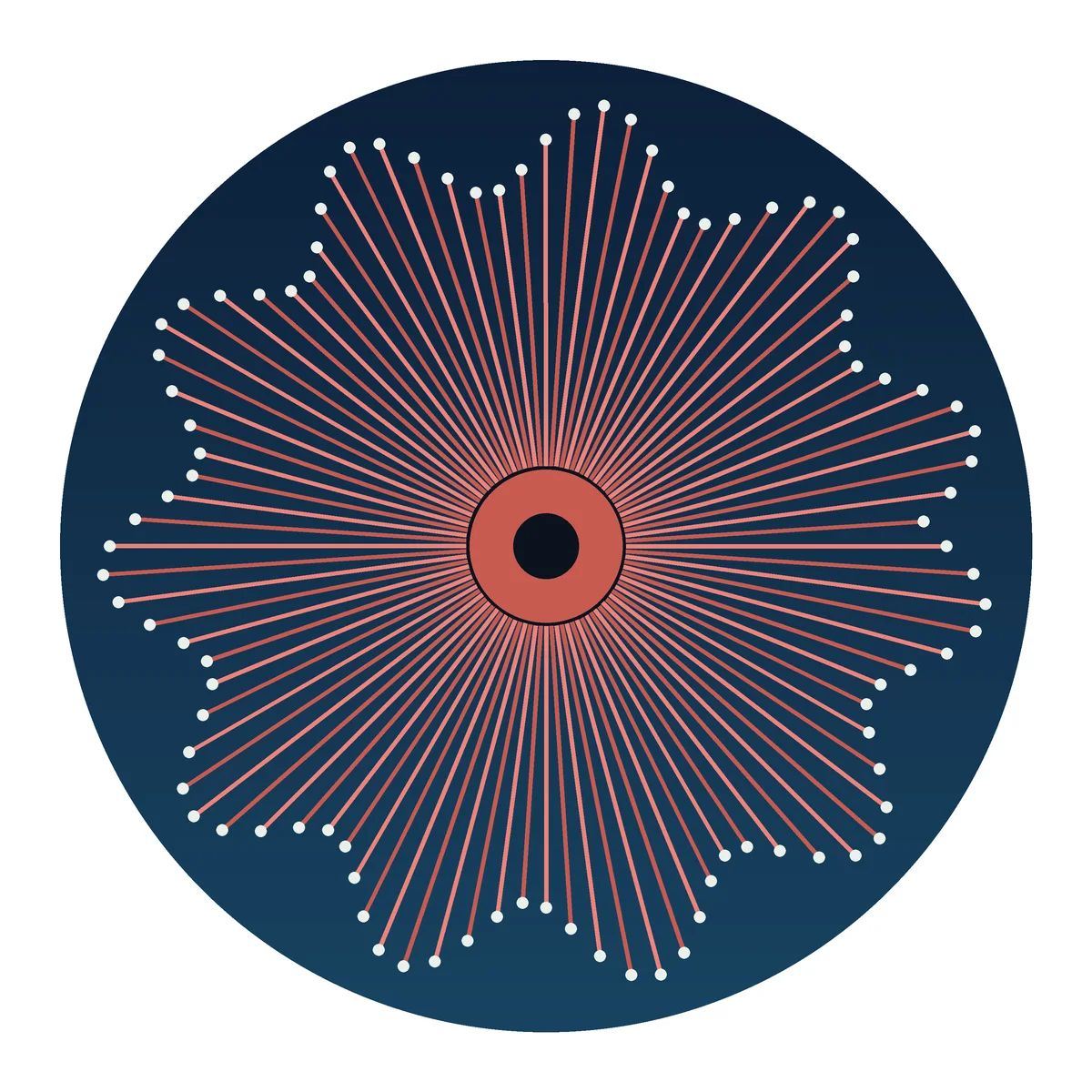 Sea Anemone