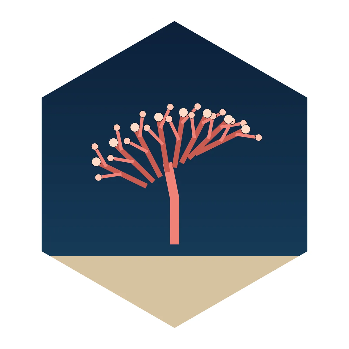 Coral Polyp