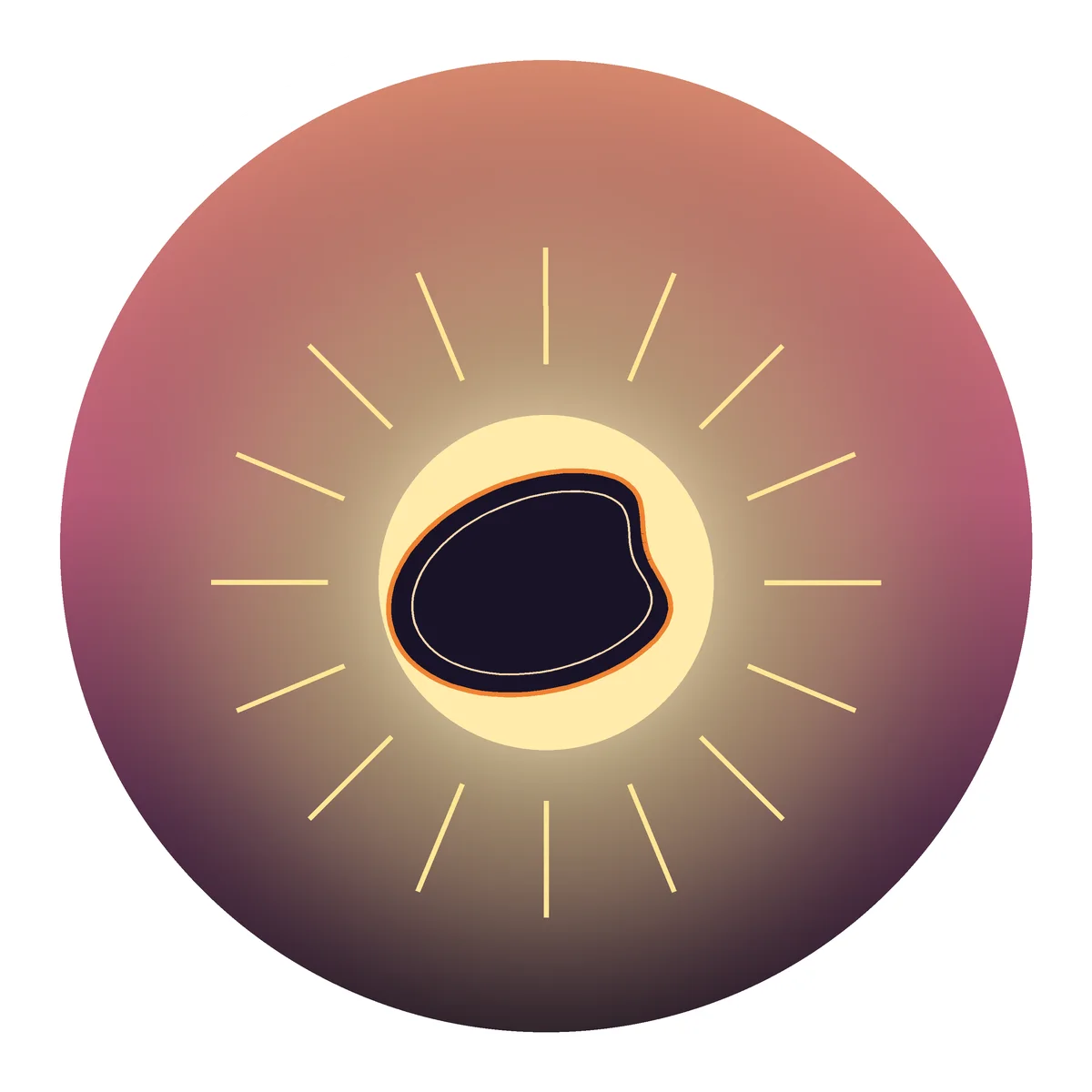 Bean Sunrise