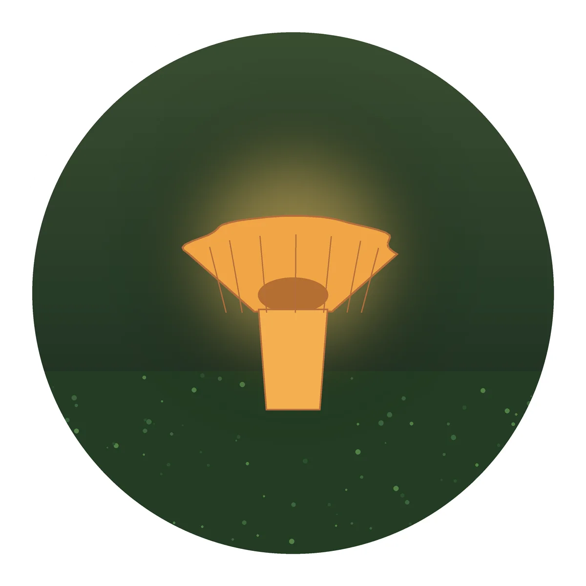 Chanterelle